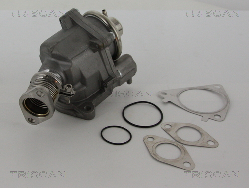 Supapa EGR TRISCAN 881328019