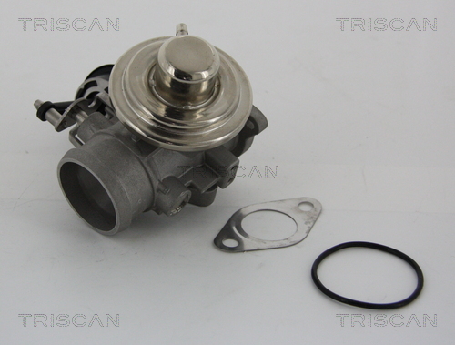Supapa EGR TRISCAN 881329001