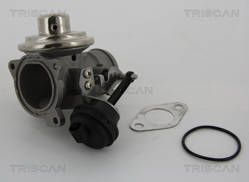 Supapa EGR TRISCAN 881329001