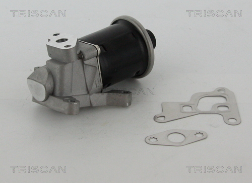 Supapa EGR TRISCAN 881329100