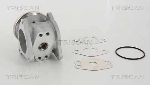 Supapa EGR TRISCAN 881329111