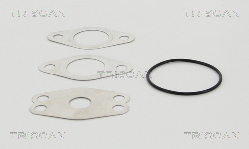 Supapa EGR TRISCAN 881329111