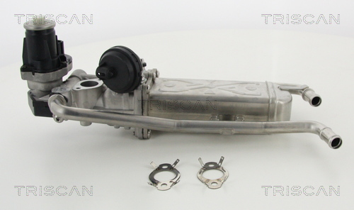 Supapa EGR TRISCAN 8813 29325