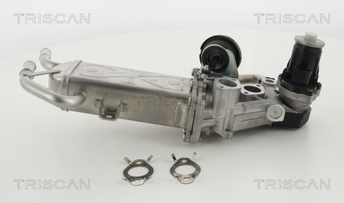 Supapa EGR TRISCAN 881329325