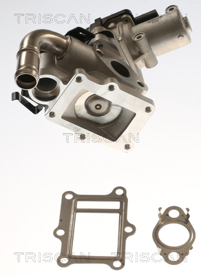 Supapa EGR TRISCAN 881343017