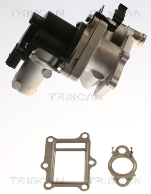 Supapa EGR TRISCAN 881343017