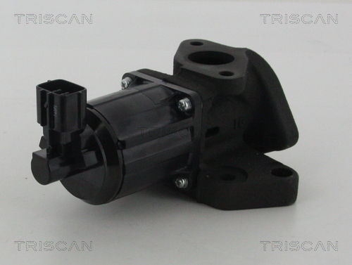 Supapa EGR TRISCAN 881350007