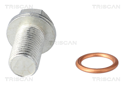 Surub de golire baia de ulei TRISCAN 9500 1025