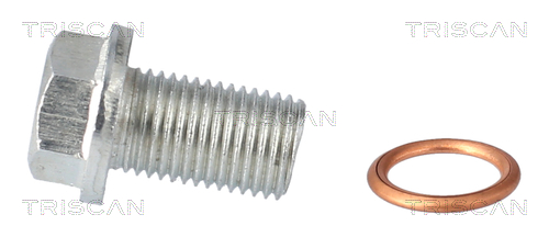 Surub de golire baia de ulei TRISCAN 95001025