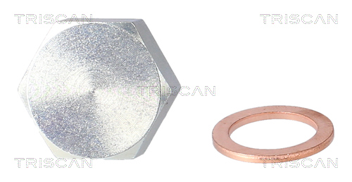 Surub de golire baia de ulei TRISCAN 9500 2404
