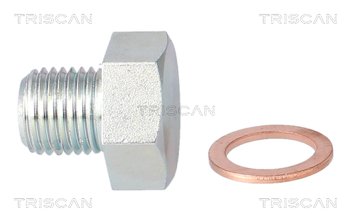 Surub de golire baia de ulei TRISCAN 95002404