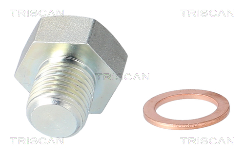 Surub de golire baia de ulei TRISCAN 95002404