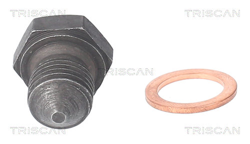Surub de golire baia de ulei TRISCAN 9500 2902
