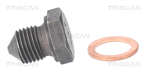 Surub de golire baia de ulei TRISCAN 95002902