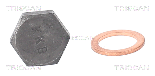 Surub de golire baia de ulei TRISCAN 95002902