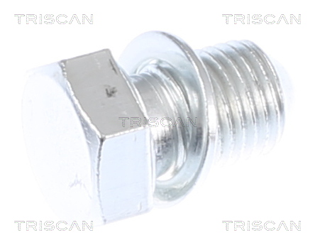 Surub de golire baia de ulei TRISCAN 95002903-50