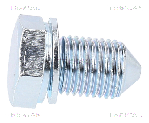 Surub de golire baia de ulei TRISCAN 95002903