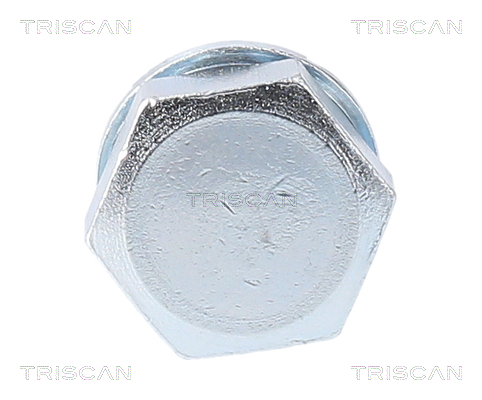 Surub de golire baia de ulei TRISCAN 95002903