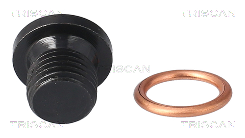 Surub de golire baia de ulei TRISCAN 9500 2906