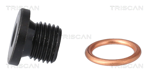 Surub de golire baia de ulei TRISCAN 95002906