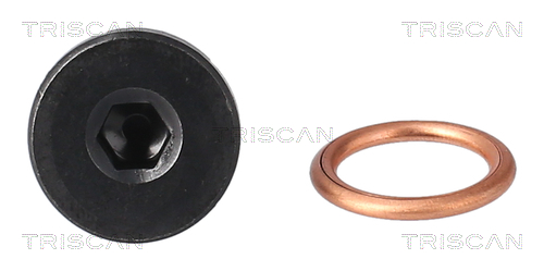 Surub de golire baia de ulei TRISCAN 95002906