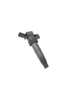 Bobina de inductie BERU ZS548