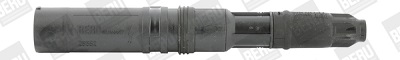 Bobina de inductie BERU ZS552