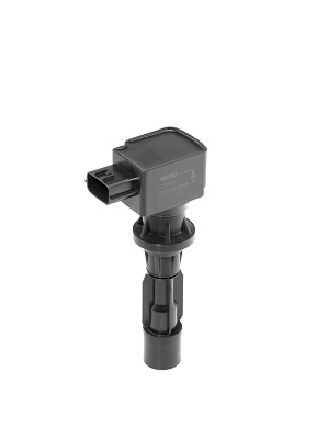 Bobina de inductie BERU ZSE217