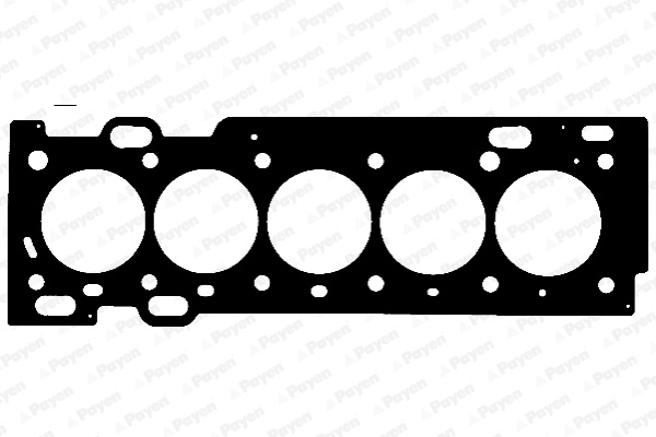 Garnitura chiulasa PAYEN AE5560