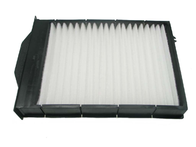 Filtru polen CORTECO 21653071