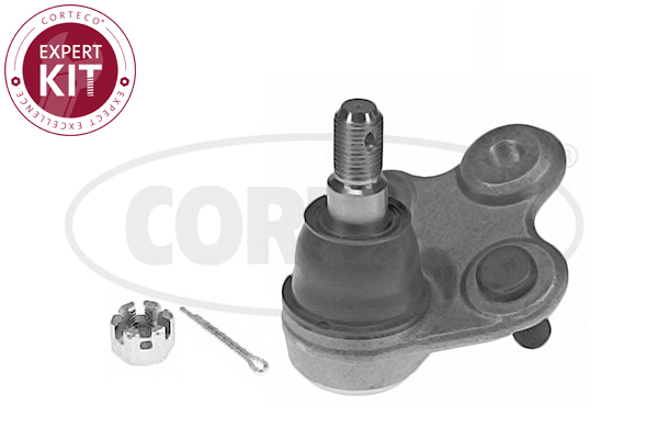 Pivot CORTECO 49395956