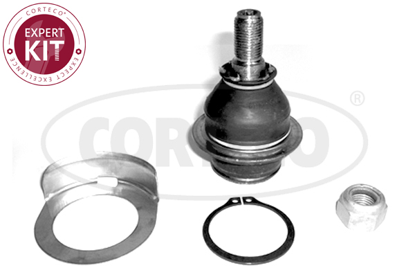 Pivot CORTECO 49398526