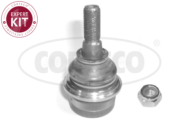 Pivot CORTECO 49399265
