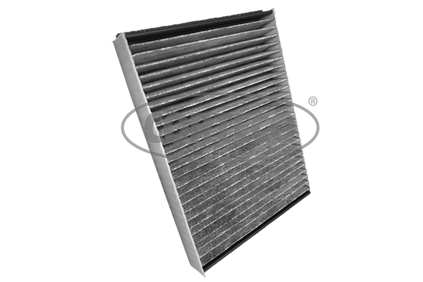 Filtru polen CORTECO 49489575