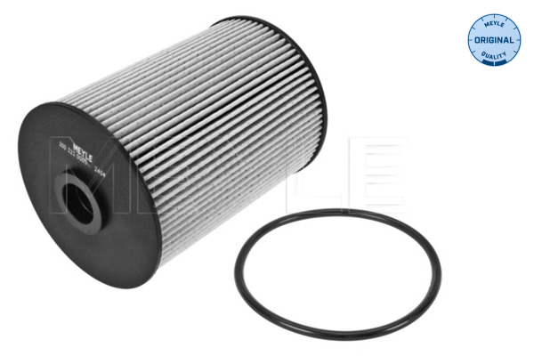 Filtru combustibil MEYLE 100 323 0005