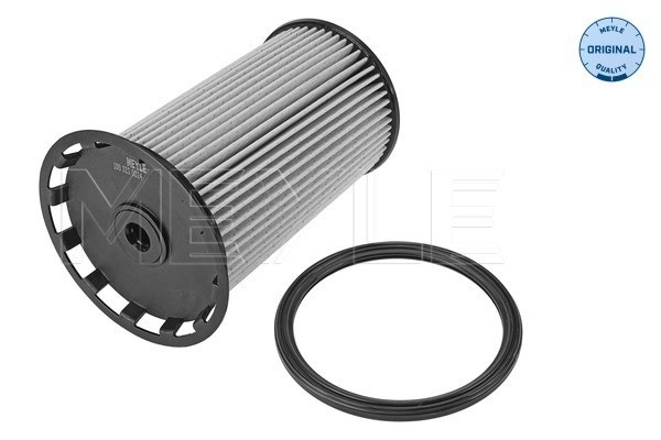 Filtru combustibil MEYLE 100 323 0024