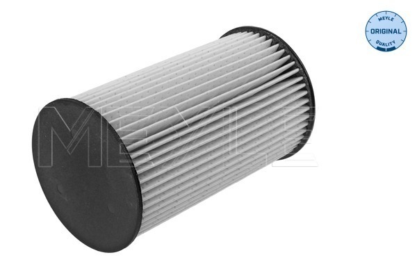 Filtru combustibil MEYLE 1003230028