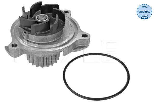 Pompa de apa MEYLE 113 220 0022