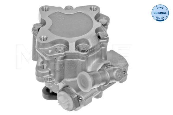 Pompa hidraulica sistem de directie MEYLE 114 631 0018