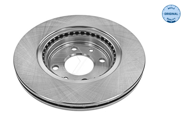 Disc frana MEYLE 16-155210036