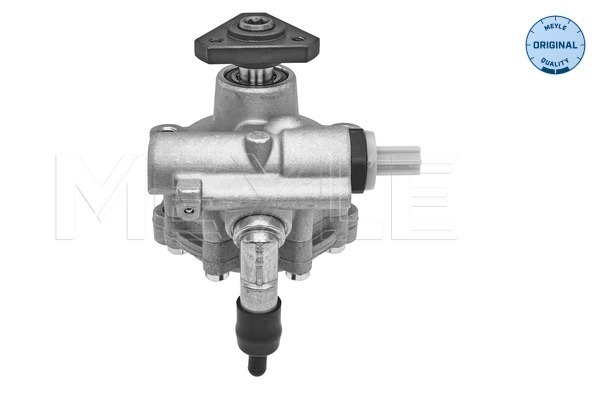Pompa hidraulica sistem de directie DACIA LOGAN MCV II 1.5 dCi  diesel 90 cai MEYLE 16-166310001