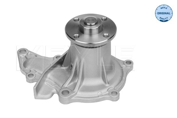Pompa de apa MEYLE 30-131610011