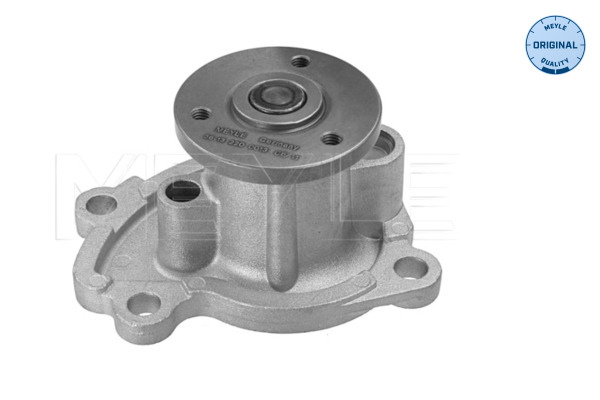 Pompa de apa MEYLE 36-132200013