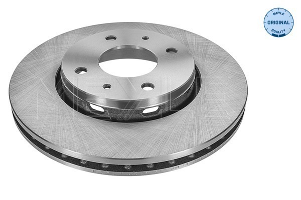 Disc frana MEYLE 515 521 5019