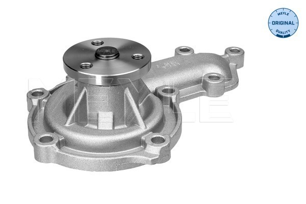 Pompa de apa MEYLE 53-132200001