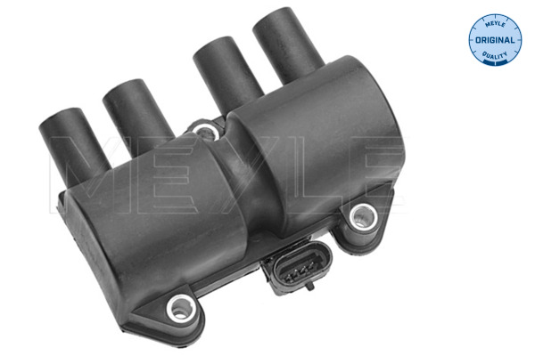 Bobina de inductie MEYLE 6148850008