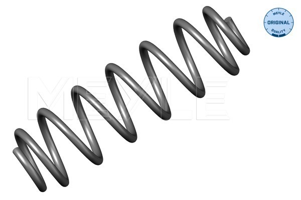 Arc spiral VW GOLF V (1K1) 1.9 TDI  diesel 105 cai MEYLE 1007390006