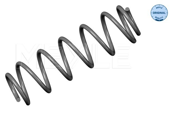 Arc spiral MEYLE 100 739 0049