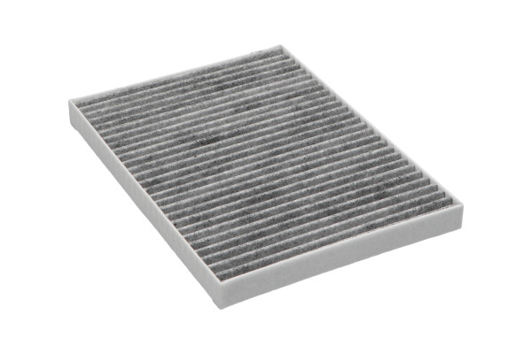 Filtru polen AMC FILTER FCA-10031C