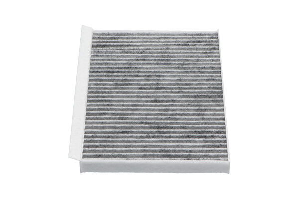 Filtru polen AMC FILTER HC-8218C